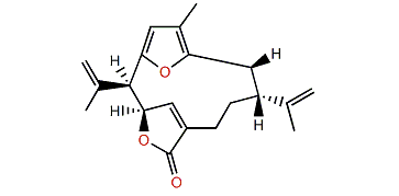 Kallolide B